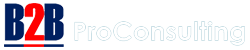 B2B Consulting